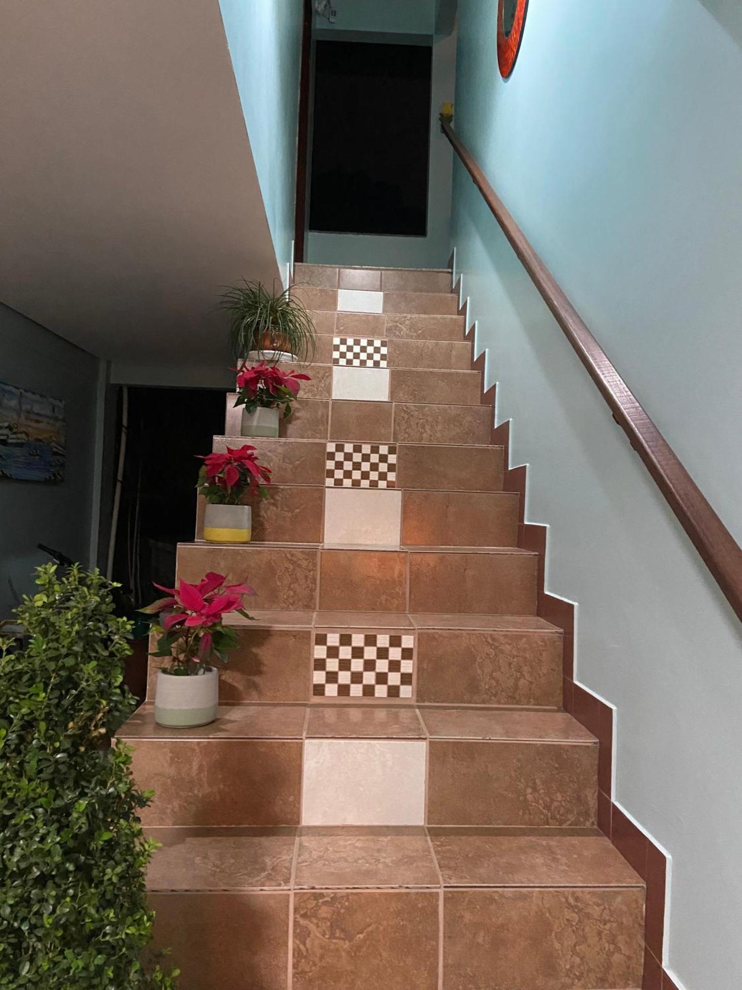 Residencial Jurere Belo * Florianopolis